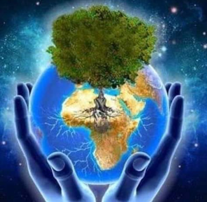 Meio Ambiente , Qualidade de vida  e Atividade Física  Uma reflexão humana