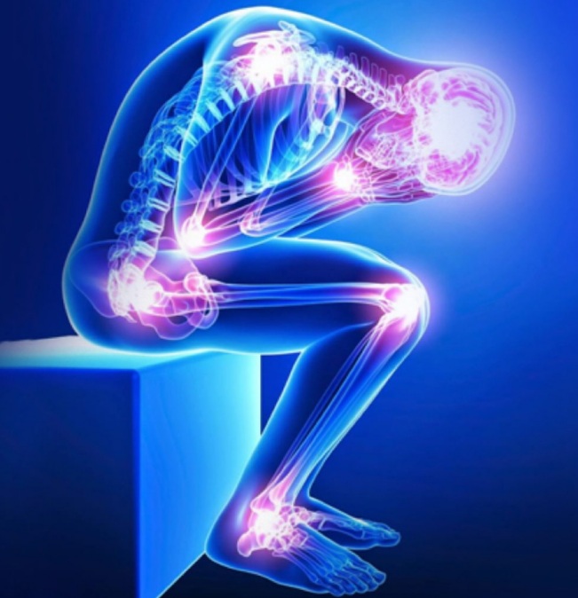 5 sinais de perda de massa muscular  Previna a perda muscular